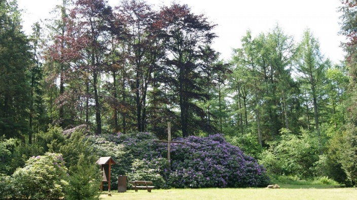 Hamburger Friedhof